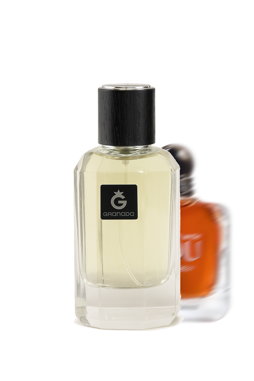 GA64 - Intense Charisma YOU